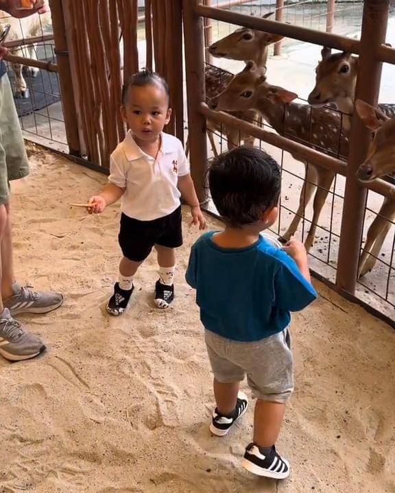 TikTok.com/abe_daily